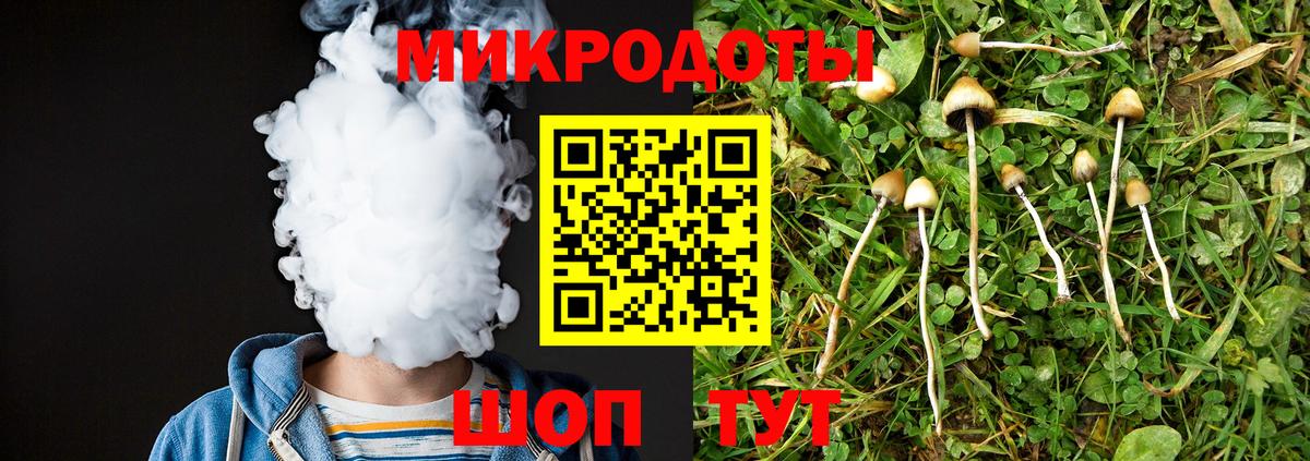 Псилоцибиновые грибы MAGIC MUSHROOMS  Вход с VPN  Псилоцибиновые грибы Psilocybine cubensis  Кисловодск 
